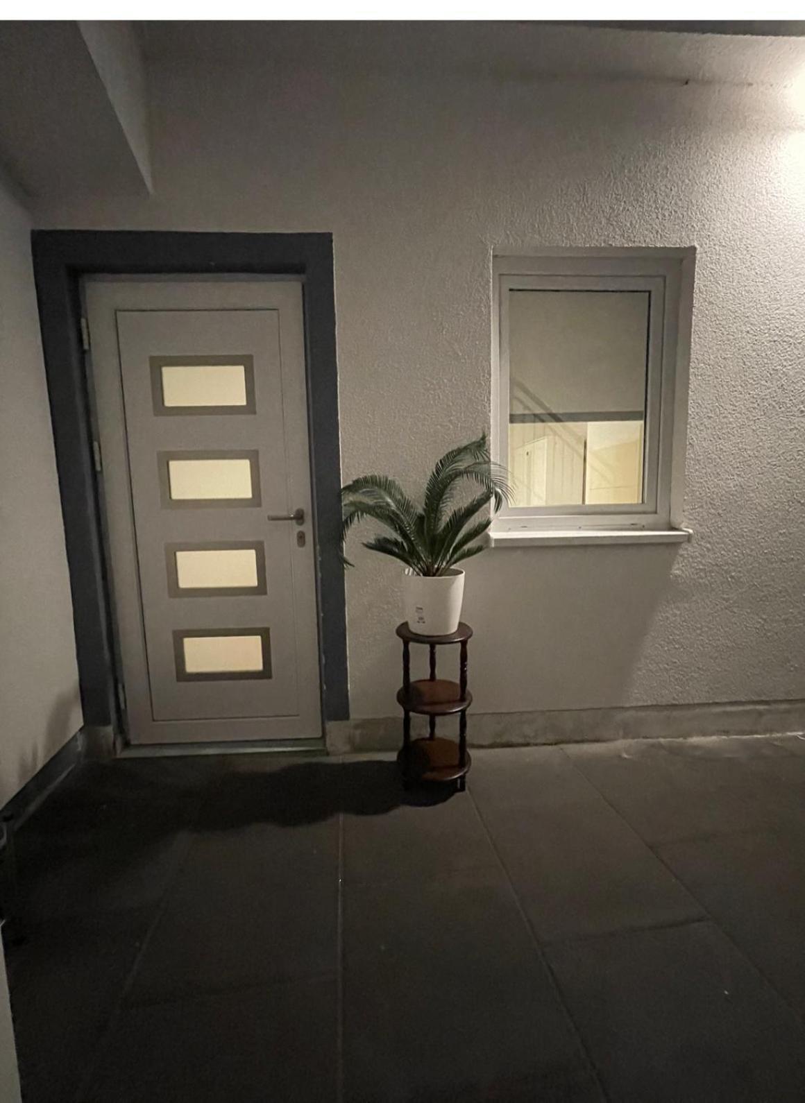Studio Apartment Zentrum 吕塞尔斯海姆 外观 照片